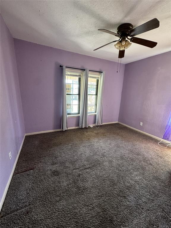 803 Ripley Avenue Ennis, TX 75119 - Photo 36 of 40 Bright interior space featuring two windows, purple walls, and dark carpet flooring
