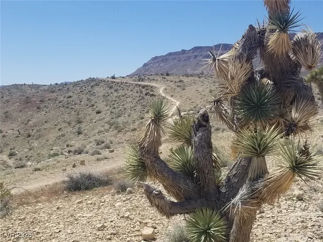 $1,950 | 10016 San Gervasio Avenue, Las Vegas, NV 89147