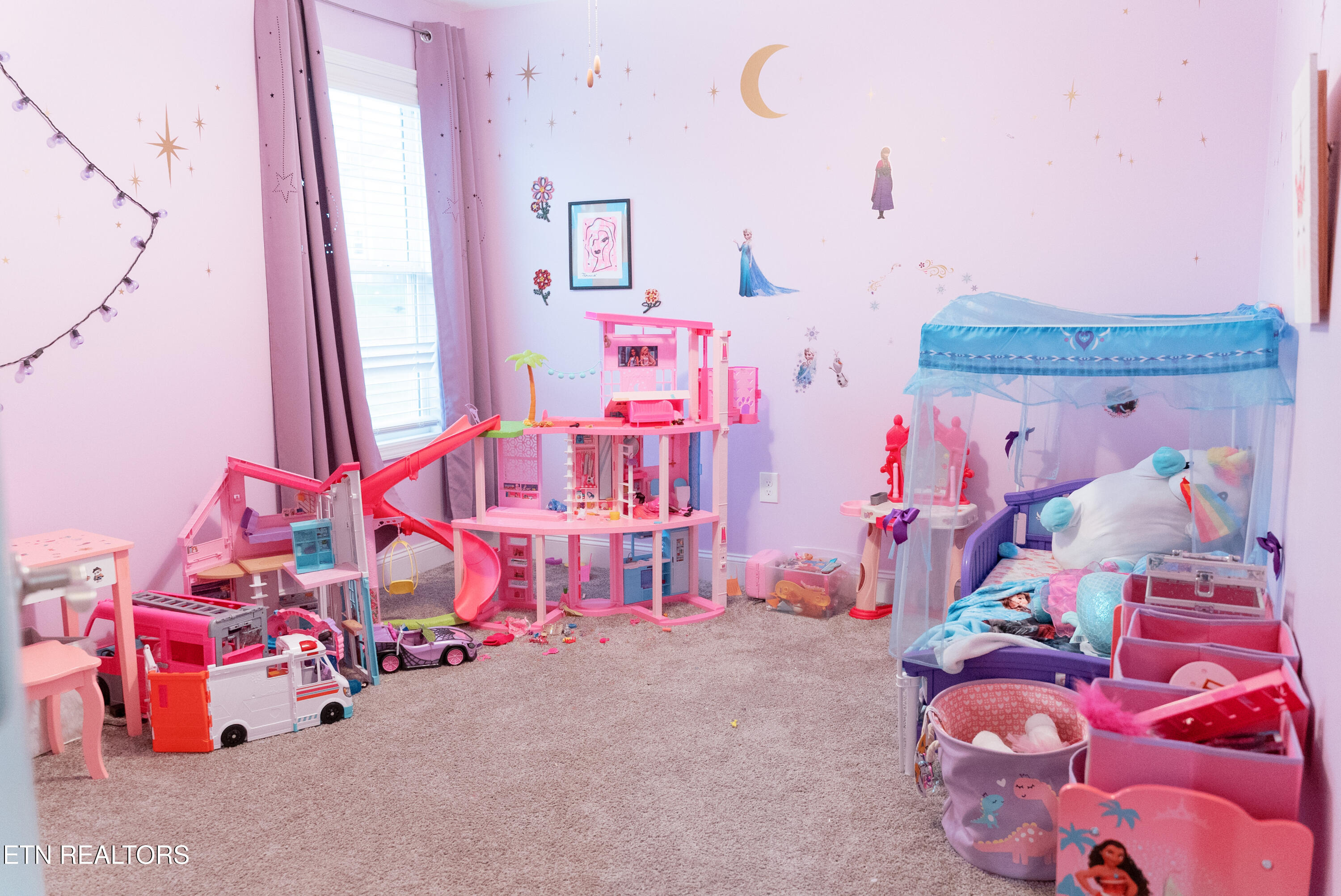 5840 Rain Cloud Road Knoxville, TN 37918 - Photo 18 of 31 DSC01509