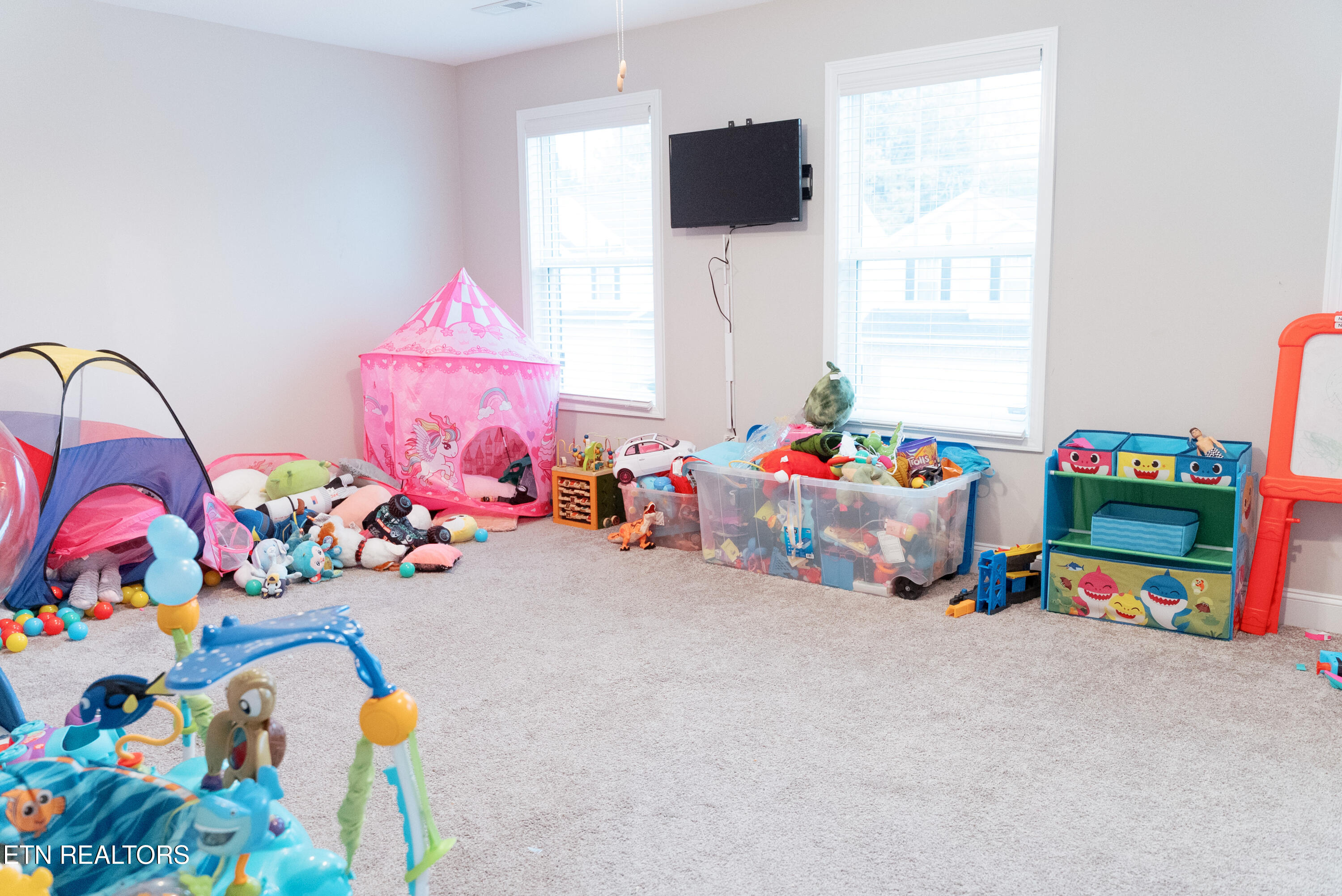 5840 Rain Cloud Road Knoxville, TN 37918 - Photo 24 of 31 DSC01515