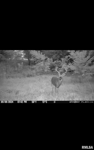 $325,000 | 16379 Sand Road, Fulton, IL 61252