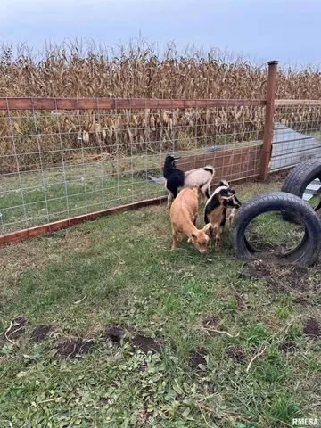 $299,900 | 16379 Sand Road, Fulton, IL 61252