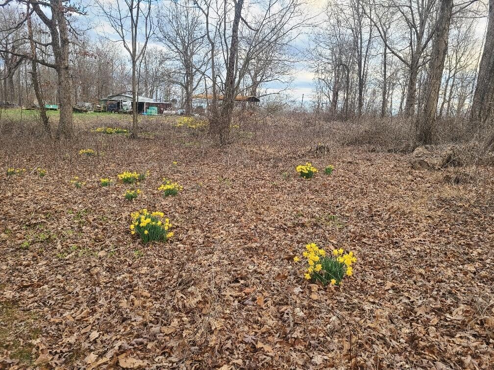 8 Double D Road Dayton, TN 37321 - Photo 1 of 1 Gallery Image 1