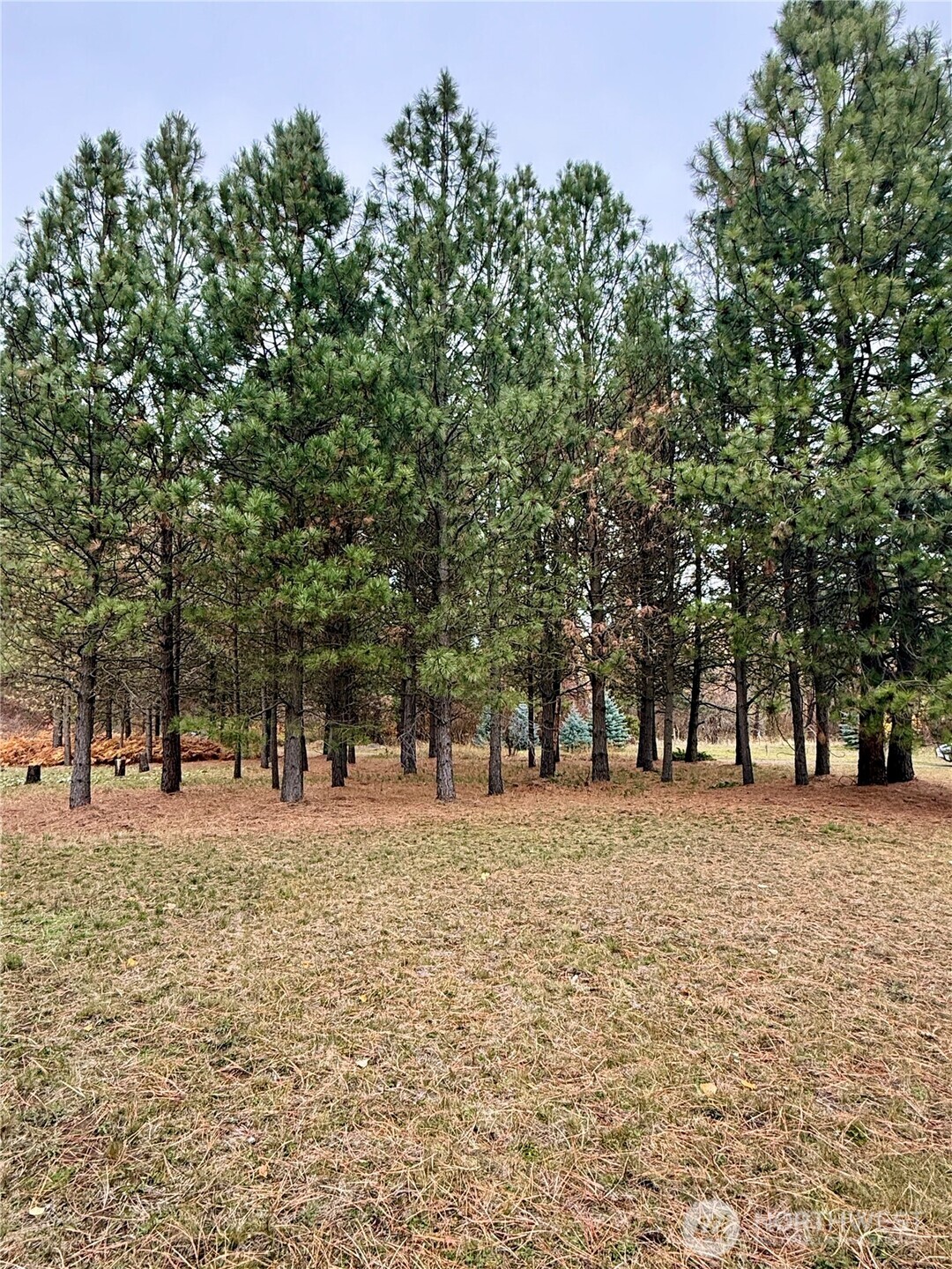 435 South Touchet Road Dayton, WA 99328 - Photo 27 of 32 Gallery Image 27