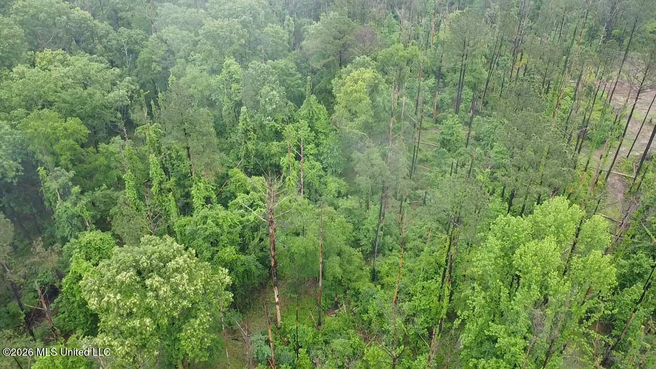 Ford Lane Crystal Springs, MS 39059 - Photo 5 of 15 2026-04-30-12-30-33-916