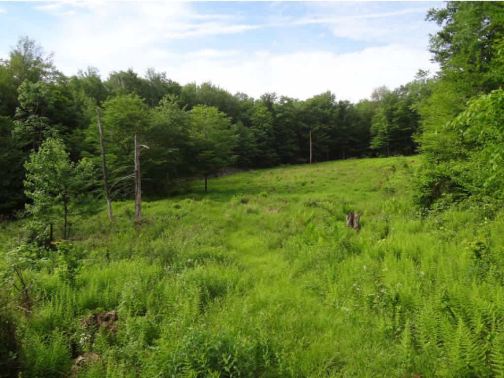 1 Howard Road Marlow, NH 03456 - Photo 8 of 15