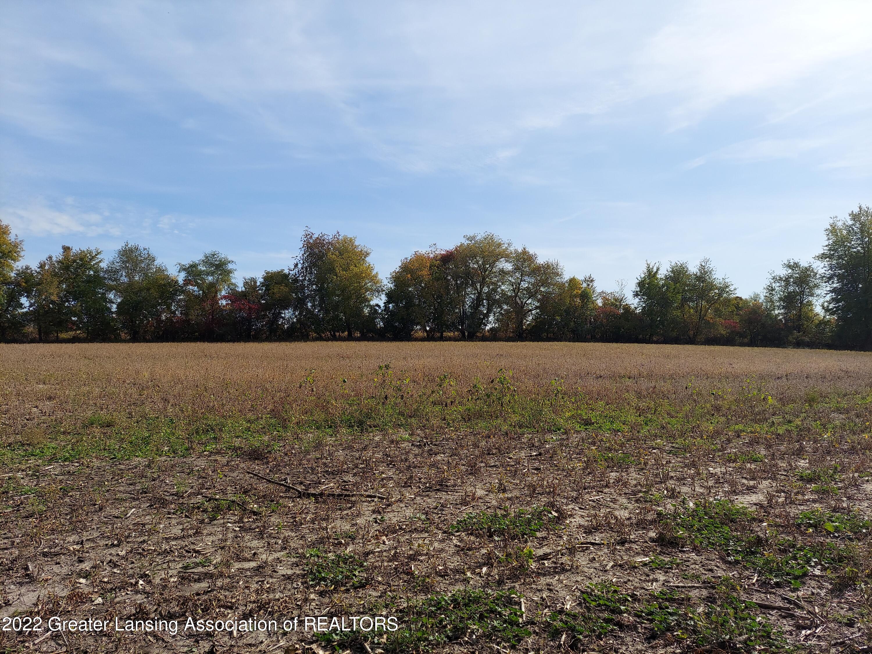 0 East Frost Road Webberville, MI 48892 - Photo 6 of 14 view eastward