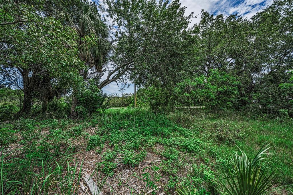 15 Rice Road Hudson, FL 34667 - Photo 12 of 20