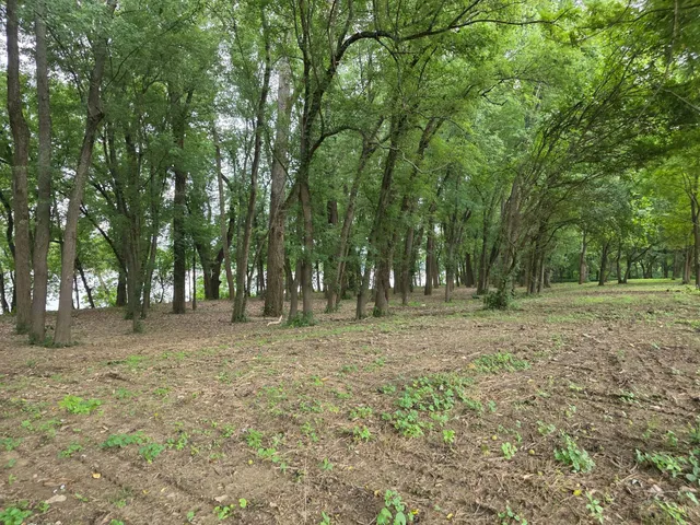 $144,900 | 0 Sr 156, Vevay, IN 47043