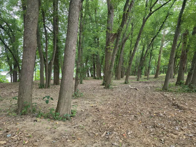 $144,900 | 0 Sr 156, Vevay, IN 47043