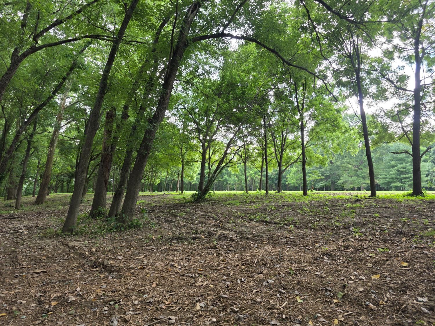 0 Sr 156 Vevay, IN 47043 - Photo 13 of 34