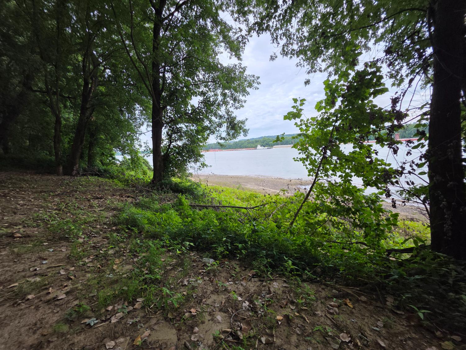 0 Sr 156 Vevay, IN 47043 - Photo 18 of 34