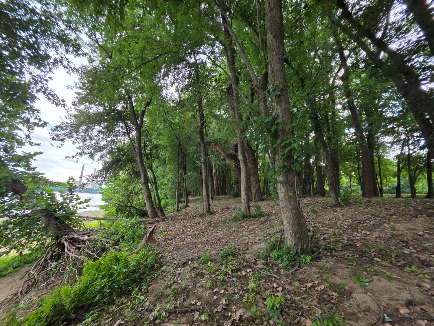 0 Sr 156 Vevay, IN 47043 - Photo 19 of 34