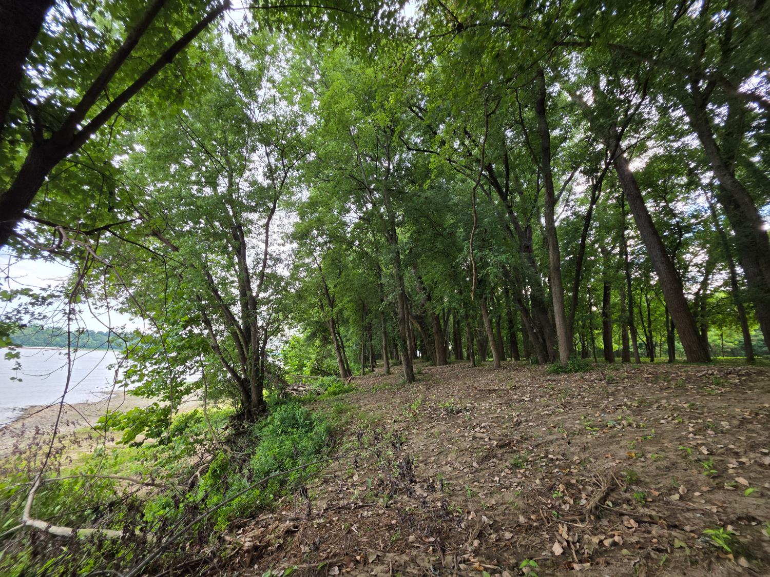 0 Sr 156 Vevay, IN 47043 - Photo 22 of 34