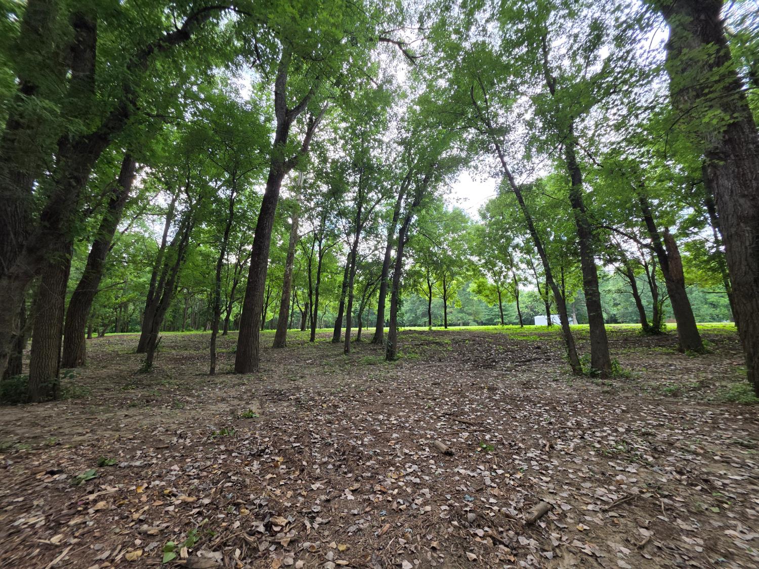 0 Sr 156 Vevay, IN 47043 - Photo 23 of 34