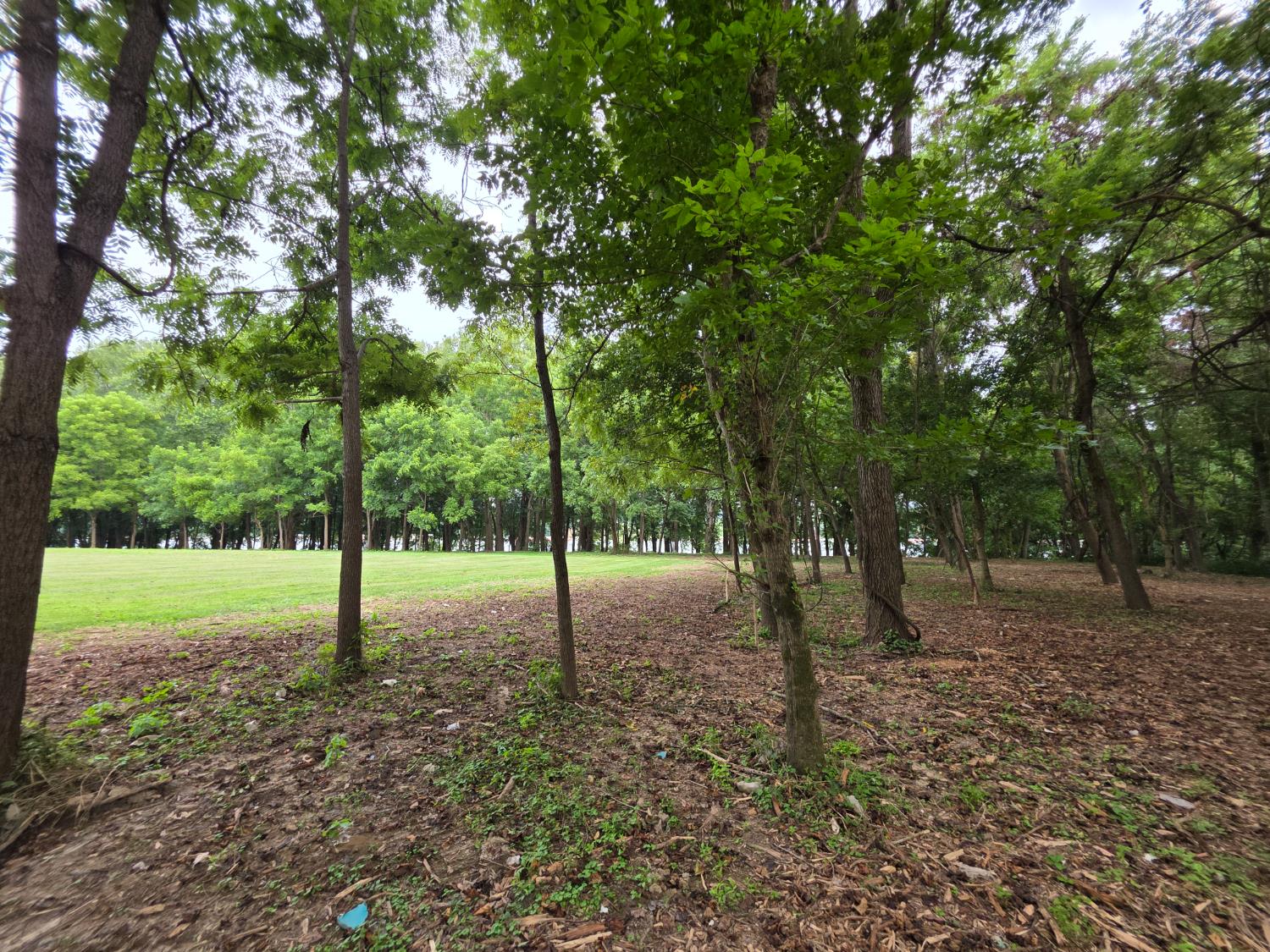 0 Sr 156 Vevay, IN 47043 - Photo 29 of 34