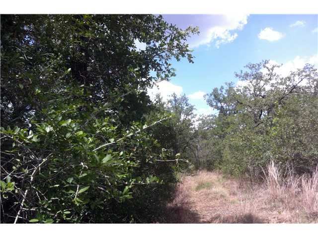 0 Ivy Switch Road Luling, TX 78648 - Photo 1 of 1 a view of a tree in a yard