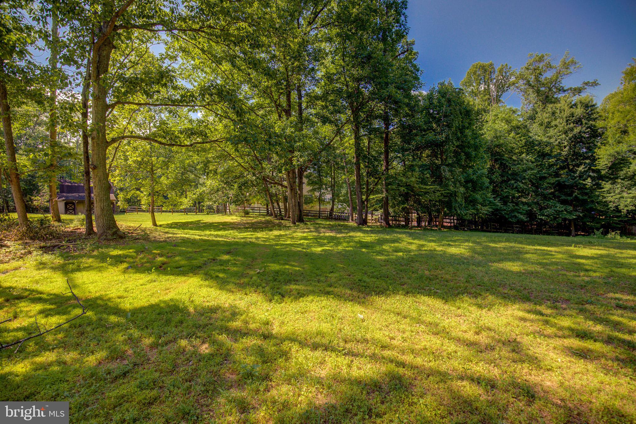813 Blacks Hill Road Great Falls, VA 22066 - Photo 87 of 92 Beautifully Fenced Greenspace