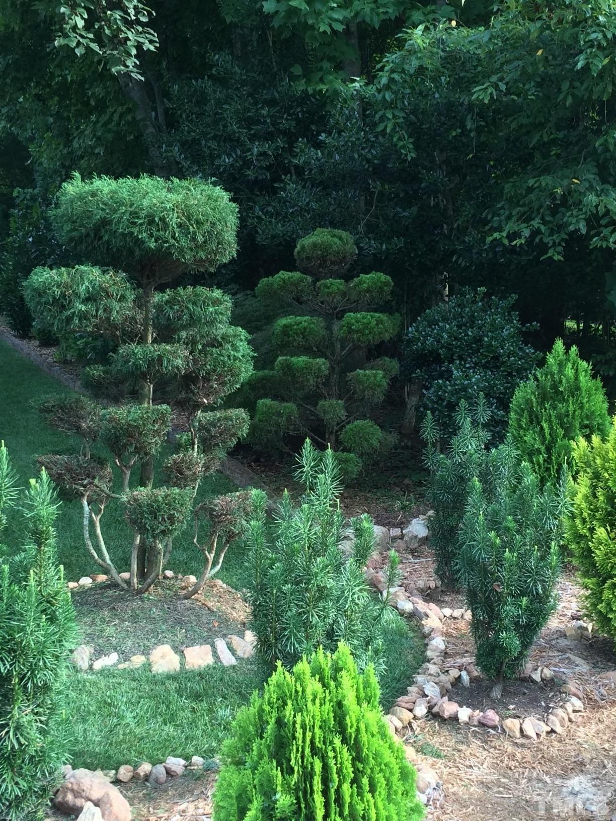 100 Mickleson Ridge Drive Raleigh, NC 27603 - Photo 46 of 59 a view of a garden with a space