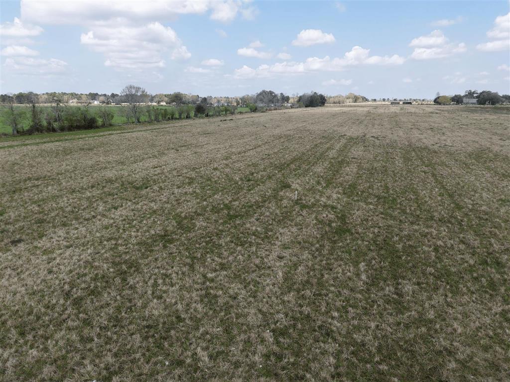 0 Sidney Derouen Road Bell City, LA 70630 - Photo 2 of 7