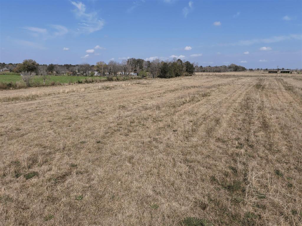 0 Sidney Derouen Road Bell City, LA 70630 - Photo 3 of 7