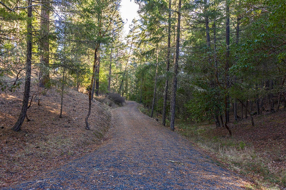1700 Tetherow Road Williams, OR 97544 - Photo 4 of 27 4