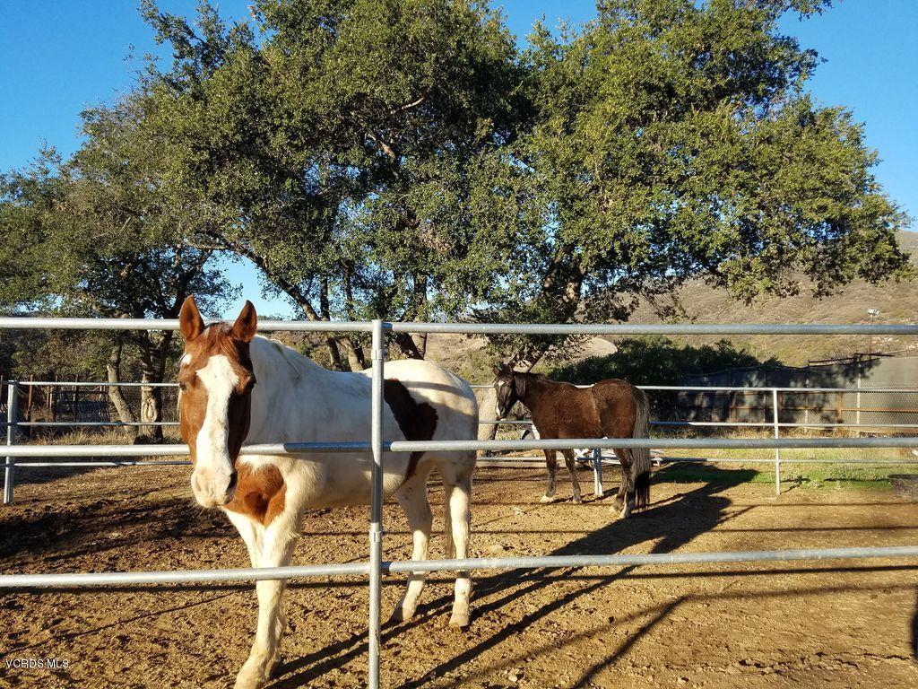 855 Oso Road Ojai, CA 93023 - Photo 47 of 55 Oso Rd Horses