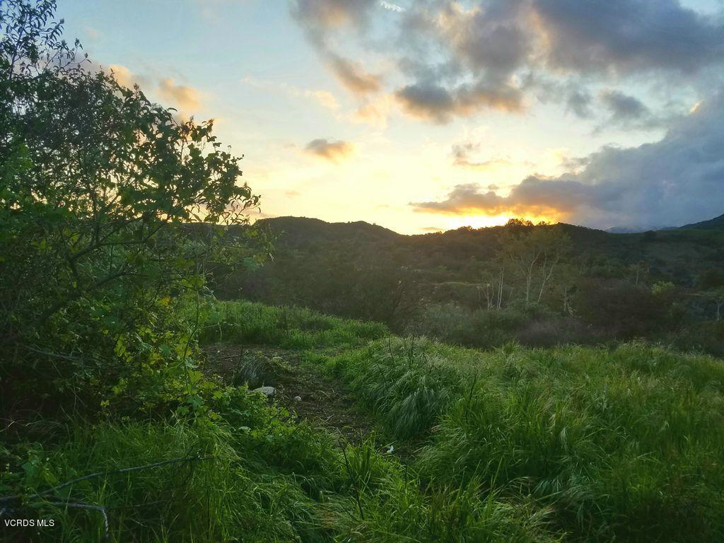 855 Oso Road Ojai, CA 93023 - Photo 50 of 55 Oso Rd View
