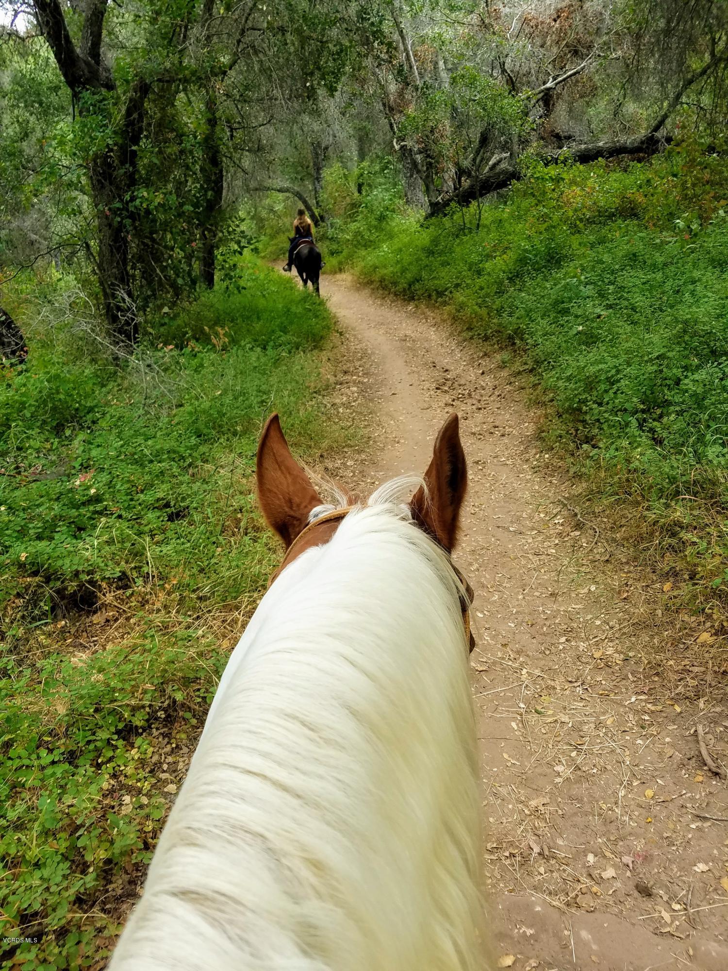 855 Oso Road Ojai, CA 93023 - Photo 52 of 55 Trail Pic
