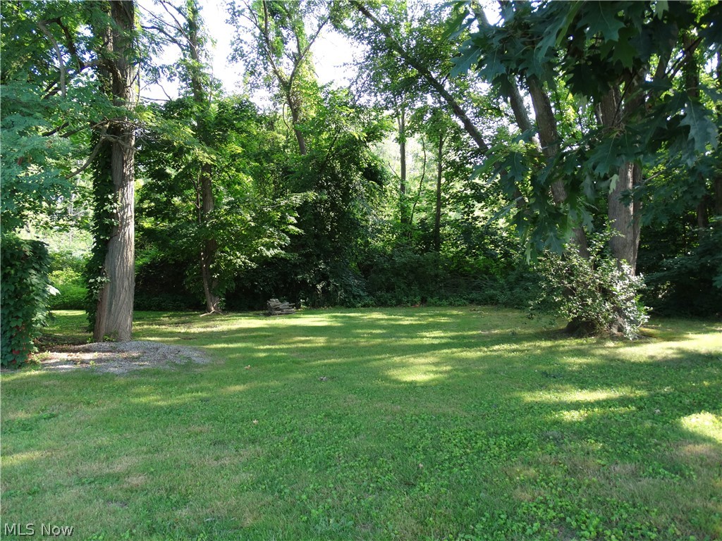 7759 North Ridge Road Madison, OH 44057 - Photo 14 of 14 View of yard
