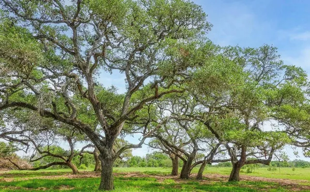 $200,000 | 211 Wild Wing Preserve, Loveland, CO 80537