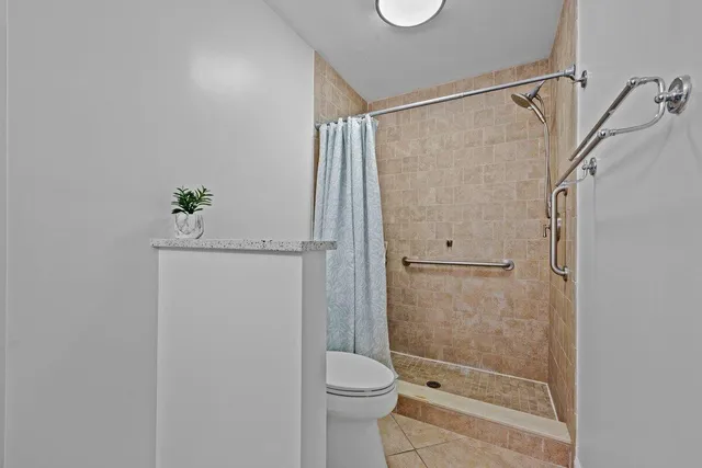 a bathroom with a shower and a toilet