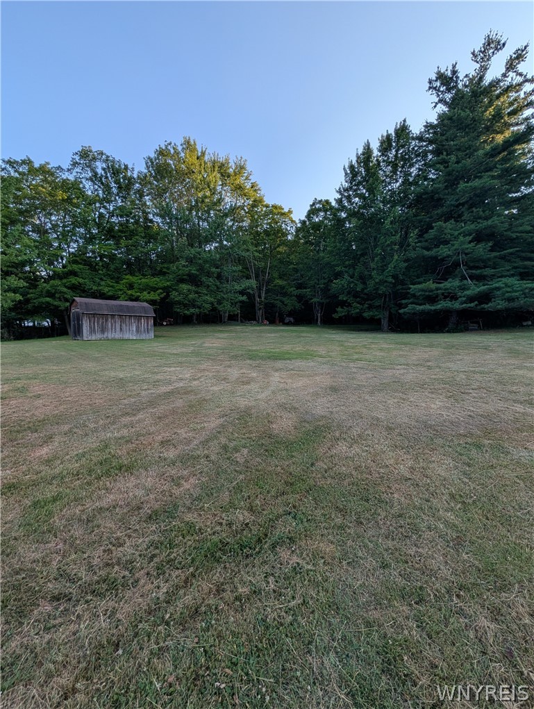 7236 Lower East Hill Road Boston, NY 14033 - Photo 23 of 26