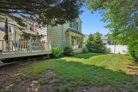 a view of a backyard with plants and large trees