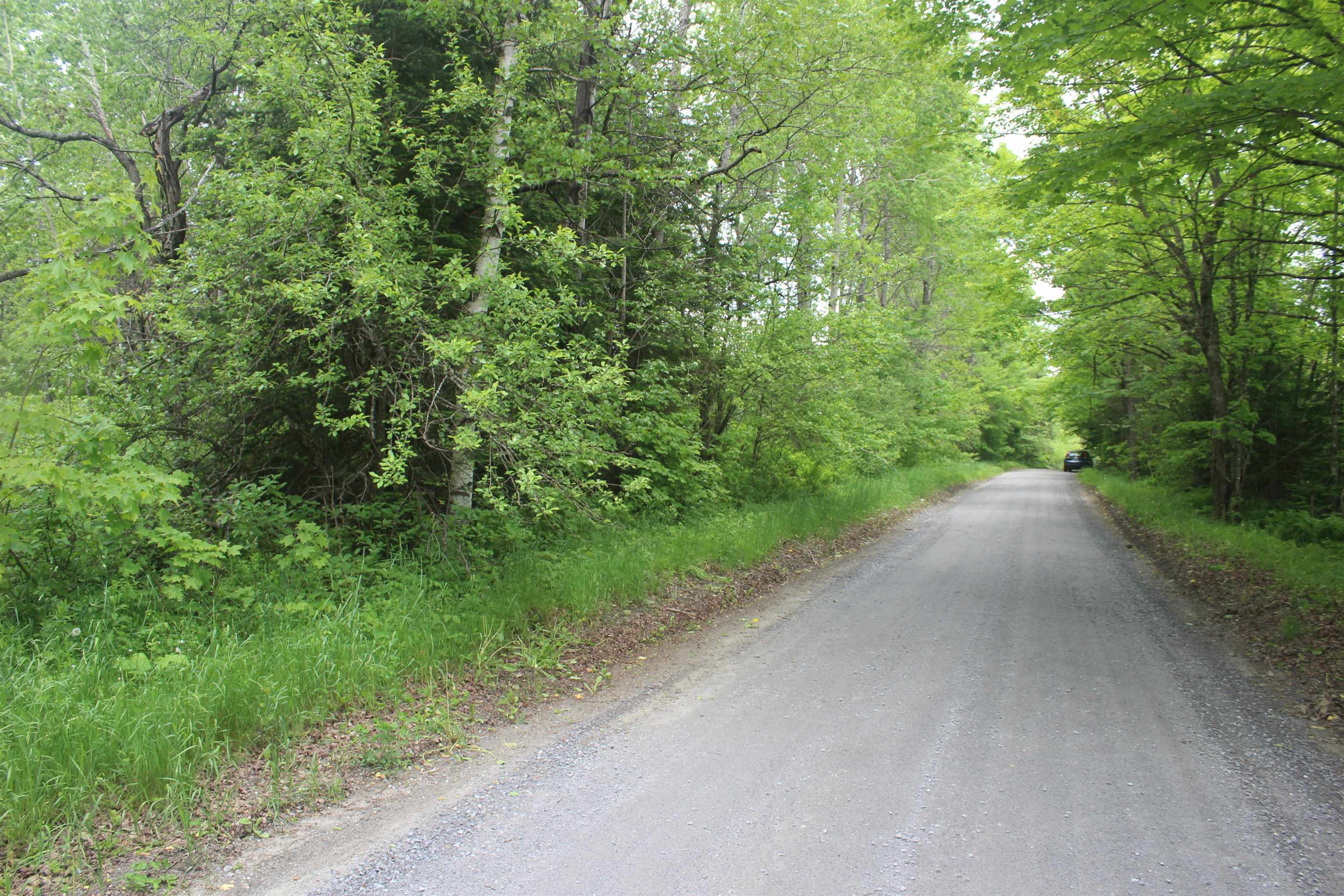0 Cobb Road West Danville, VT 05873 - Photo 4 of 8 Gallery Image 4