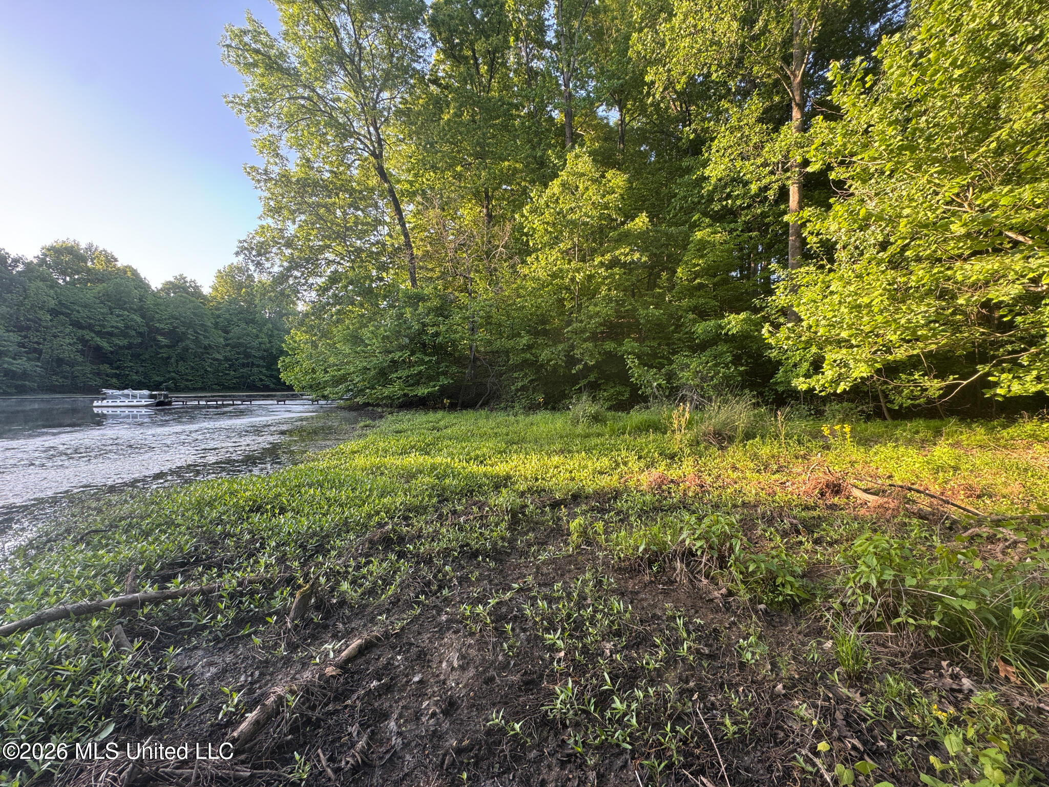 Tanyard Road Hernando, MS 38632 - Photo 12 of 27 Desoto 8.3 Clement (Final Frontier) -12