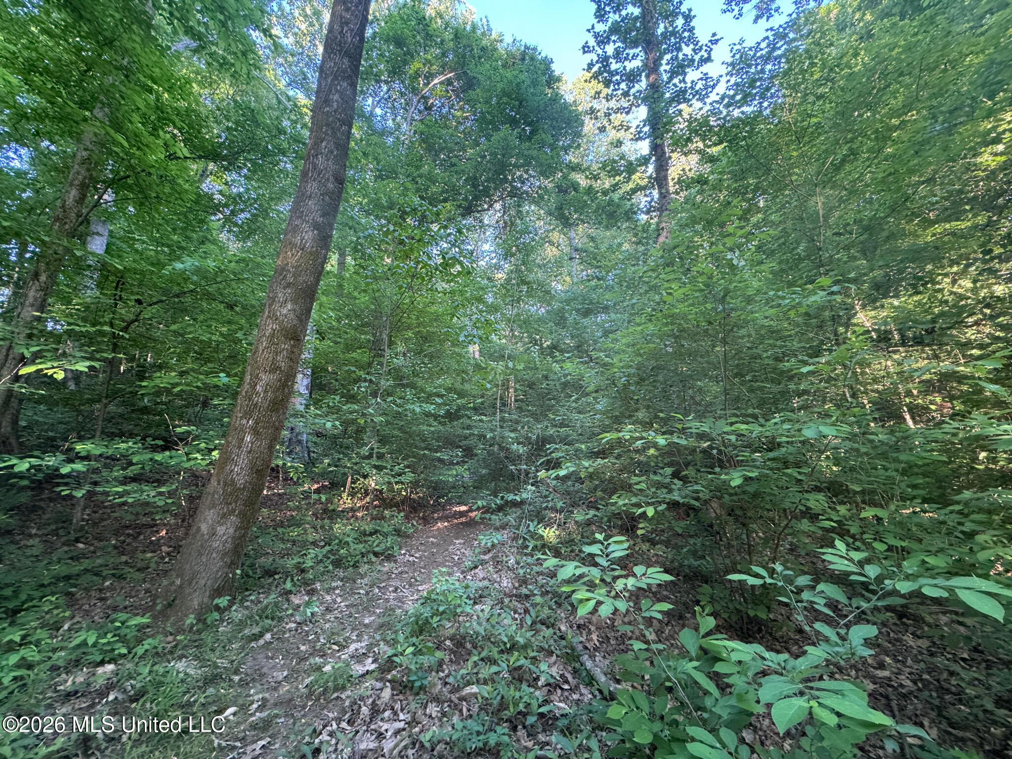 Tanyard Road Hernando, MS 38632 - Photo 13 of 27 Desoto 8.3 Clement (Final Frontier) -15