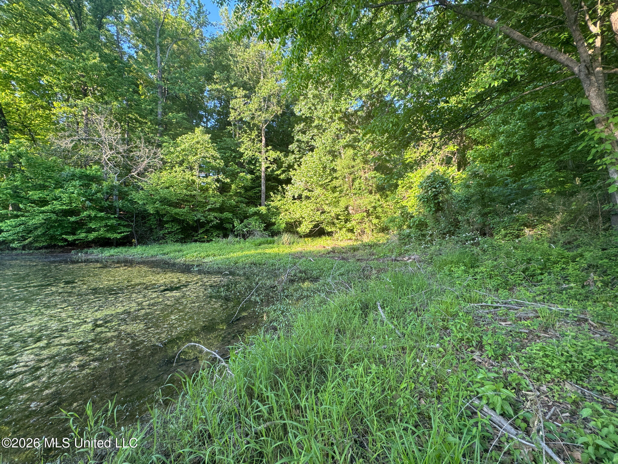 Tanyard Road Hernando, MS 38632 - Photo 16 of 27 Desoto 8.3 Clement (Final Frontier) -16