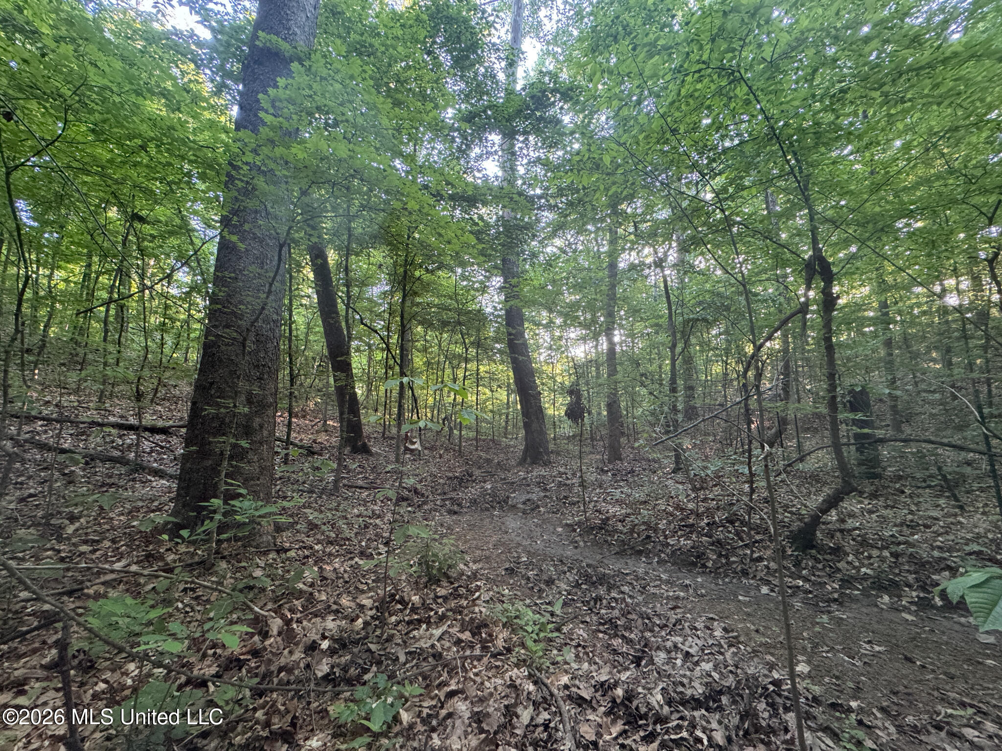 Tanyard Road Hernando, MS 38632 - Photo 18 of 27 Desoto 8.3 Clement (Final Frontier) -18