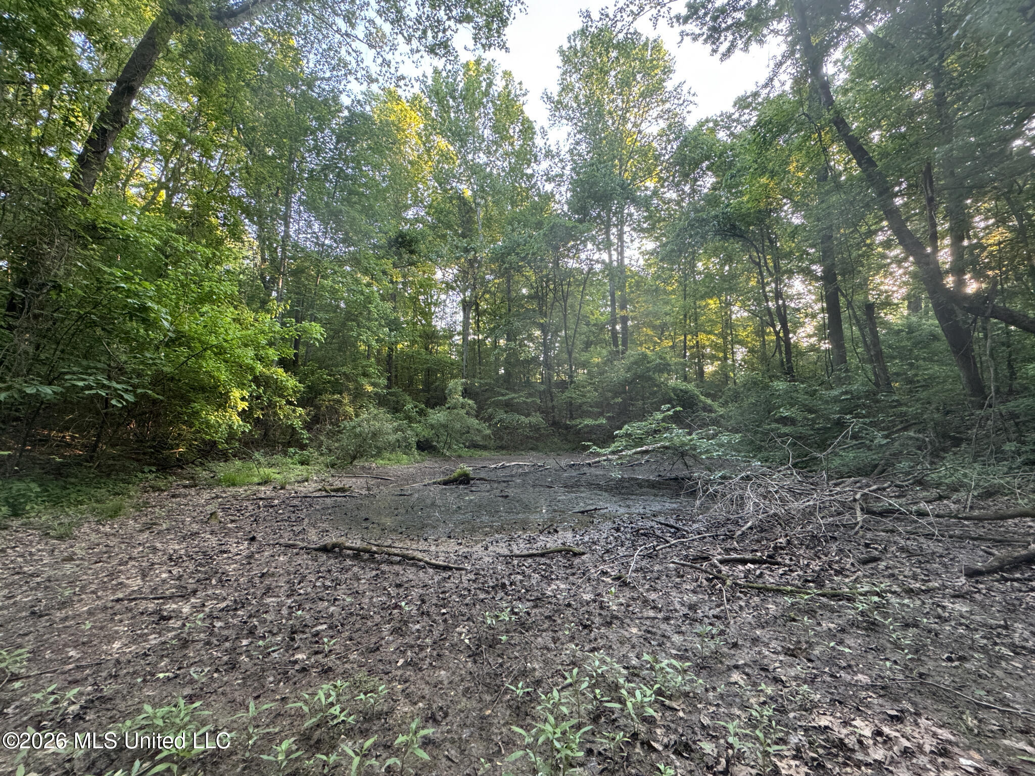 Tanyard Road Hernando, MS 38632 - Photo 22 of 27 Desoto 8.3 Clement (Final Frontier) -23