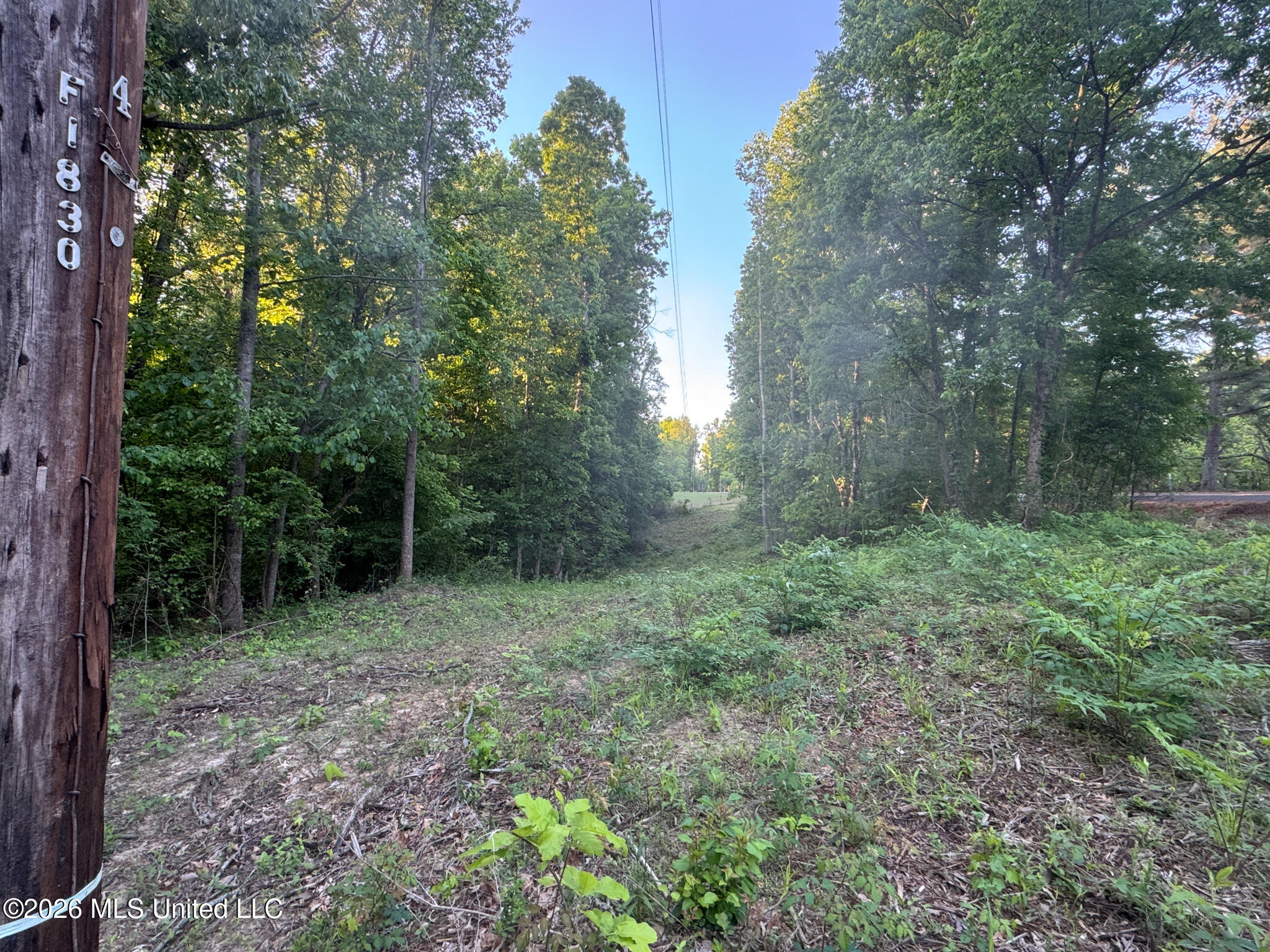 Tanyard Road Hernando, MS 38632 - Photo 27 of 27 Desoto 8.3 Clement (Final Frontier) -27