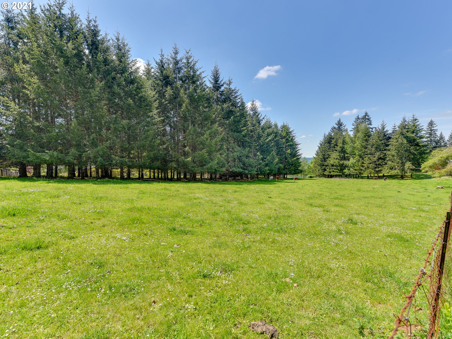 24125 Southeast Howlett Road Eagle Creek, OR 97022 - Photo 24 of 32 Gallery Image 24
