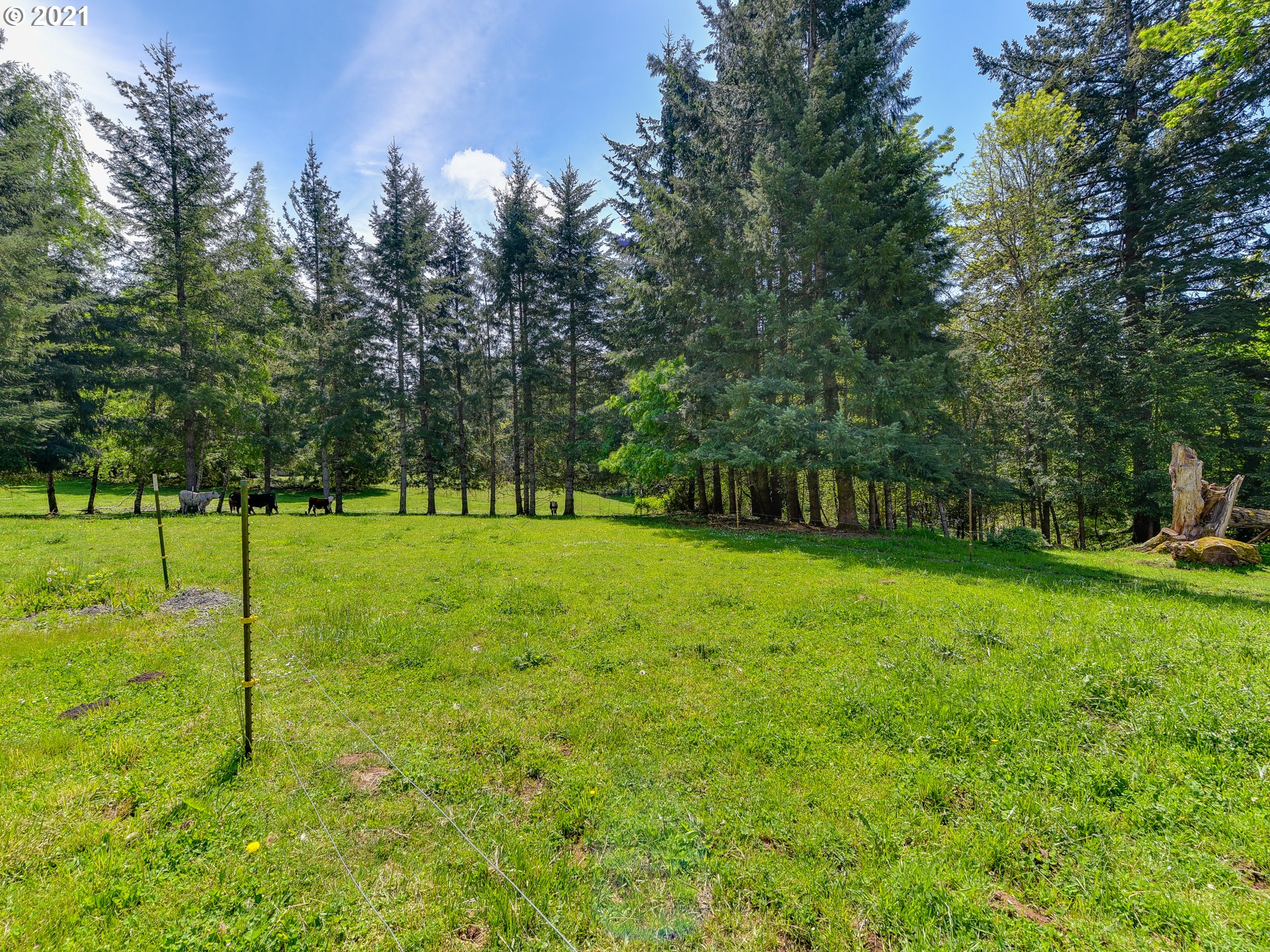 24125 Southeast Howlett Road Eagle Creek, OR 97022 - Photo 29 of 32 Gallery Image 29