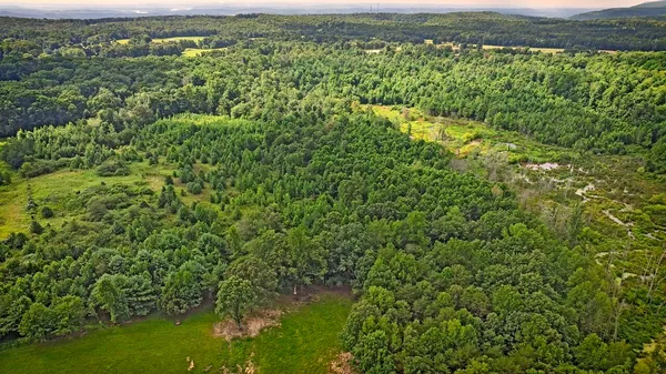 $599,900 | 329 Flower Garden Road, Grandview, TN 37337