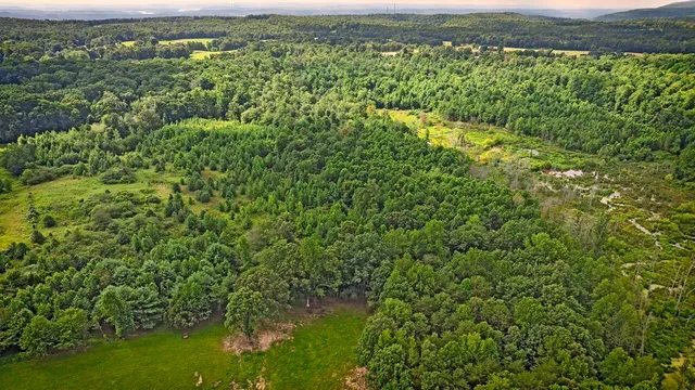 $599,900 | 329 Flower Garden Road, Grandview, TN 37337