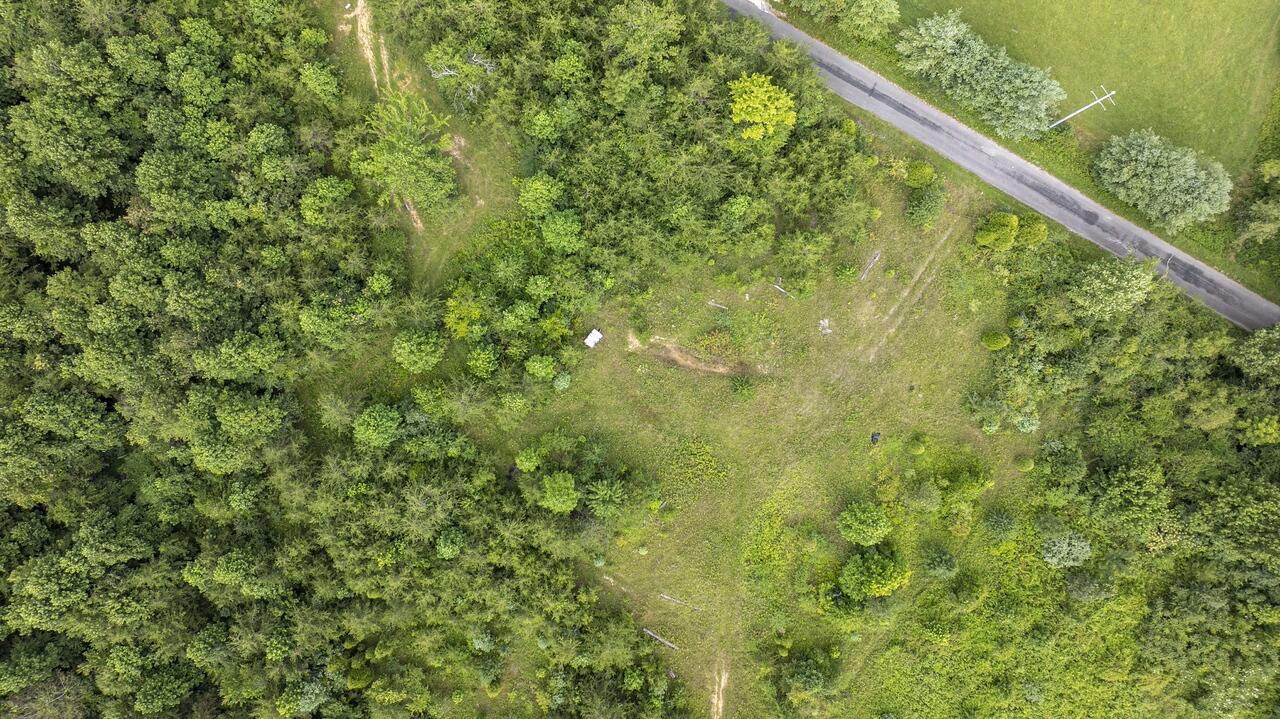 329 Flower Garden Road Grandview, TN 37337 - Photo 11 of 17 fg8