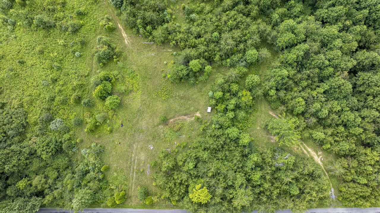 329 Flower Garden Road Grandview, TN 37337 - Photo 12 of 17 fg9