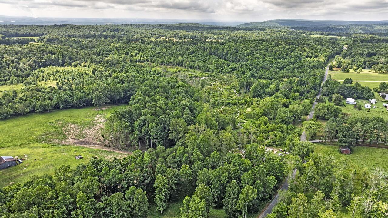 329 Flower Garden Road Grandview, TN 37337 - Photo 13 of 17 fg11