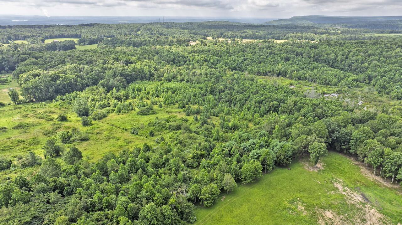 329 Flower Garden Road Grandview, TN 37337 - Photo 16 of 17 fg13