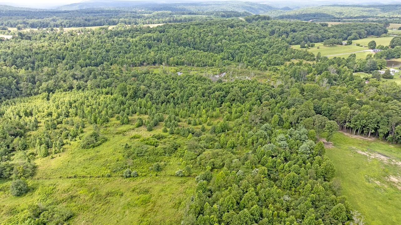 329 Flower Garden Road Grandview, TN 37337 - Photo 17 of 17 fg14